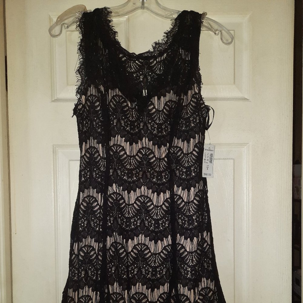 DressBarn lace dress